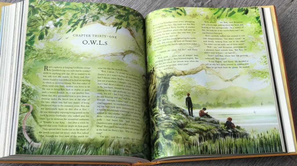 Новая версия иллюстрированного издания Гарри Поттер и Орден Феникса будет опубликована в 2022 году