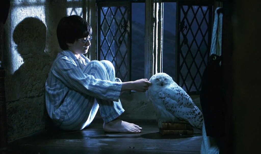 Восемь сцен из фильма Гарри Поттер и Философский камень, которых не было в книге -4