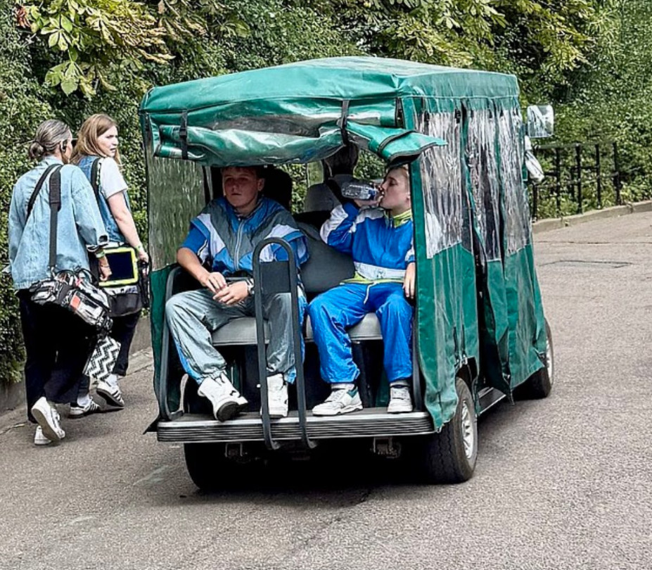 сцены в Лондонском зоопарке с участием Дурслей и Гарри