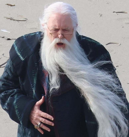 Альбус Дамблдор