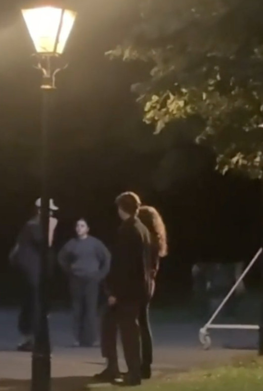 Сцена с Лили и Джеймсом Поттер