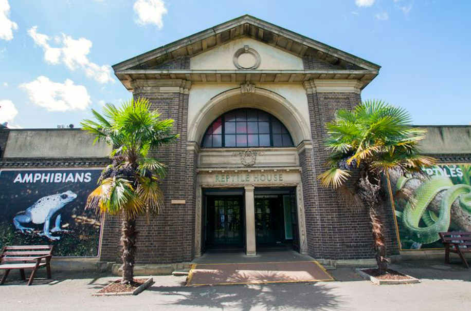 Лондонский зоопарк