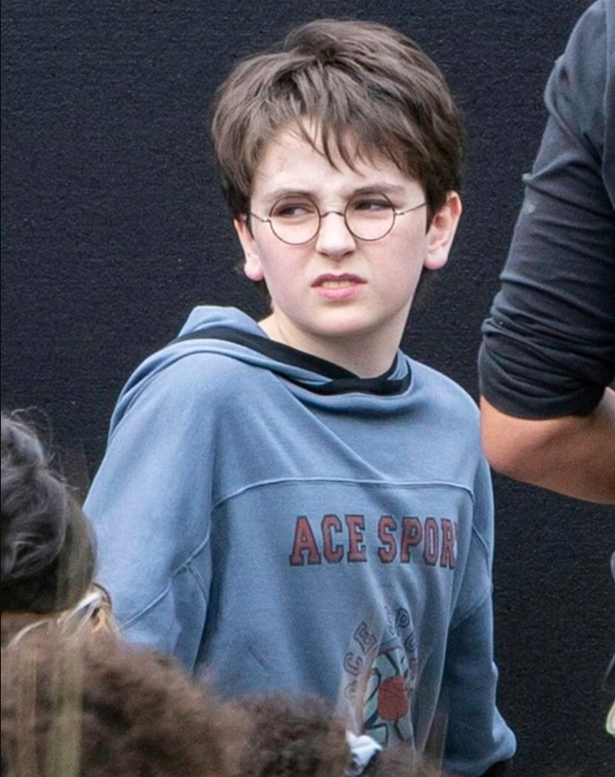 сцены в Лондонском зоопарке с участием Дурслей и Гарри4