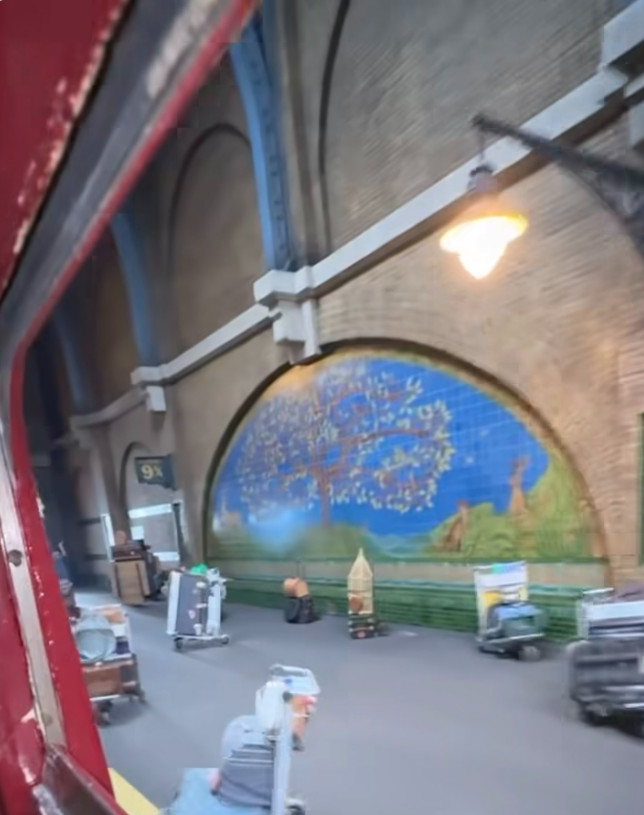 вид из окна Хогвартс-экспресса