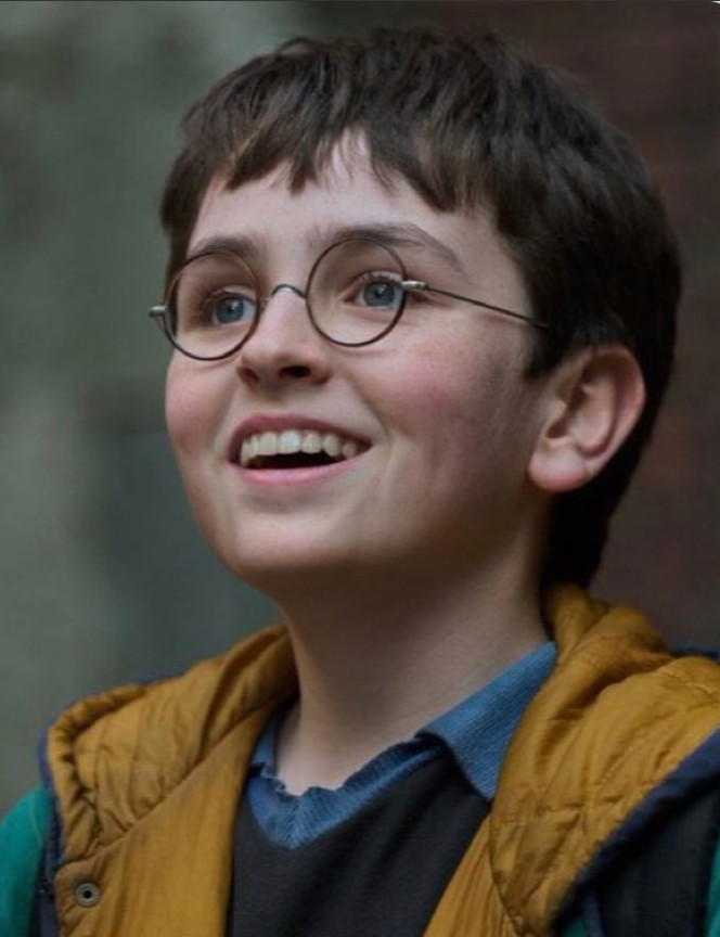 Доминик МакЛафлин - Гарри Поттер1