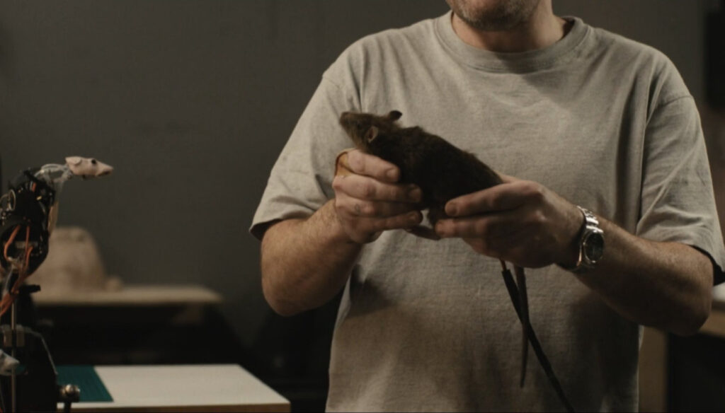 Аниматронная Короста для сериала Гарри Поттер HBO Аниматронная Короста для сериала Гарри Поттер HBO