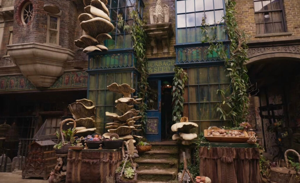 Магазин грибов