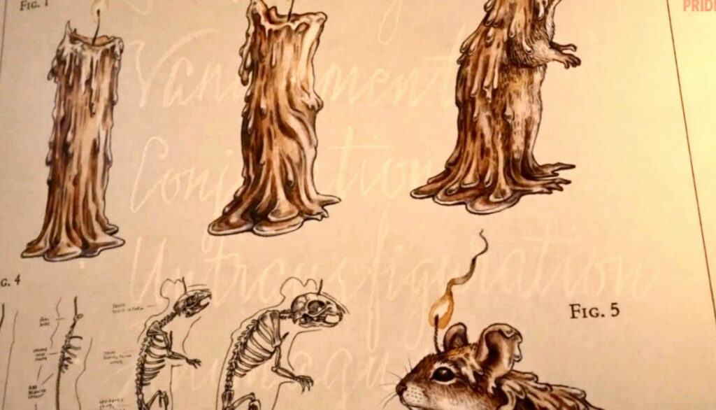 Постеры трансфигурации 1