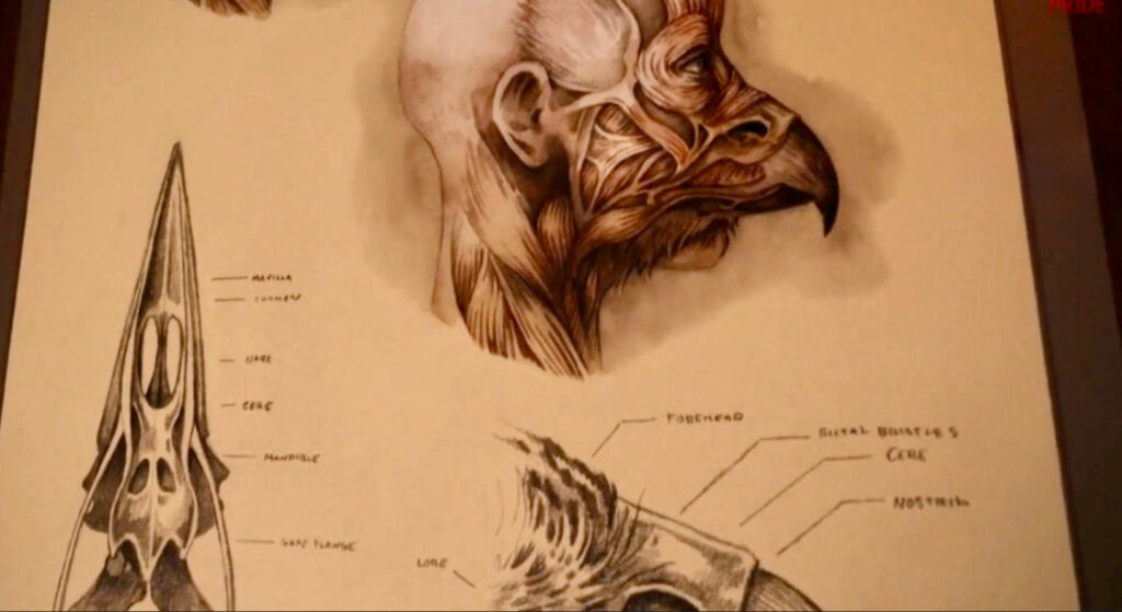 Постеры трансфигурации