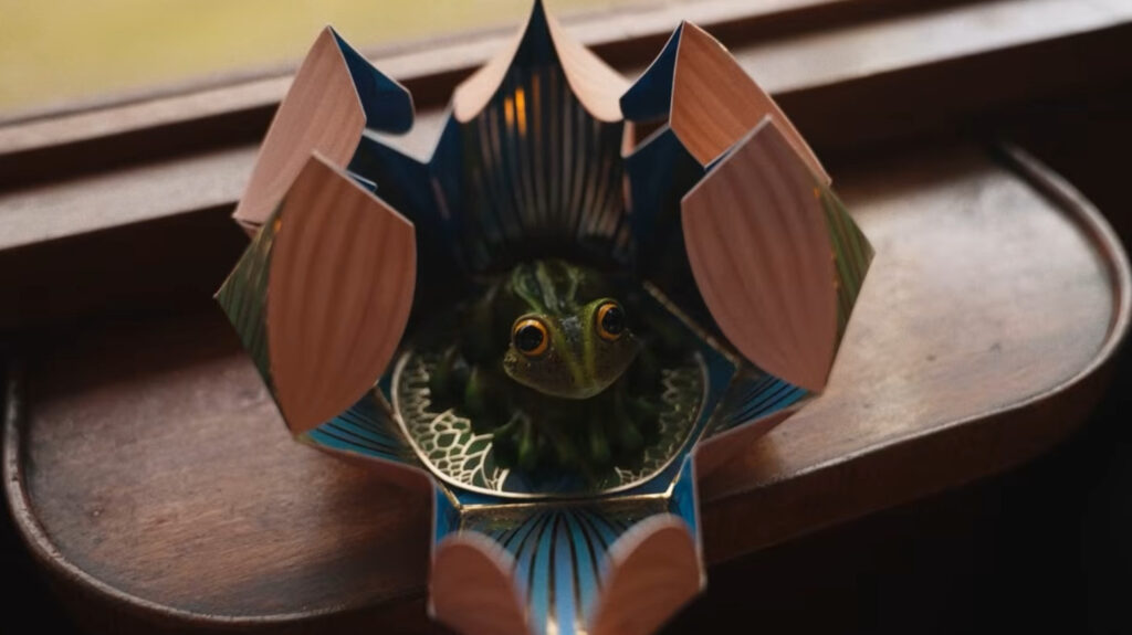 Коробочка шоколадной лягушки.